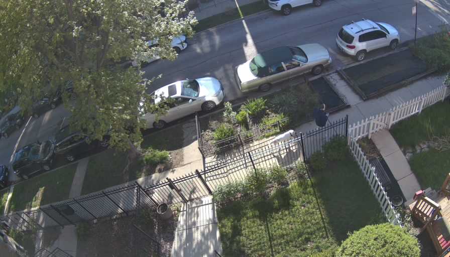 Reolink Camera Two_01_Reolink Home Hub One_20260502082018.jpg